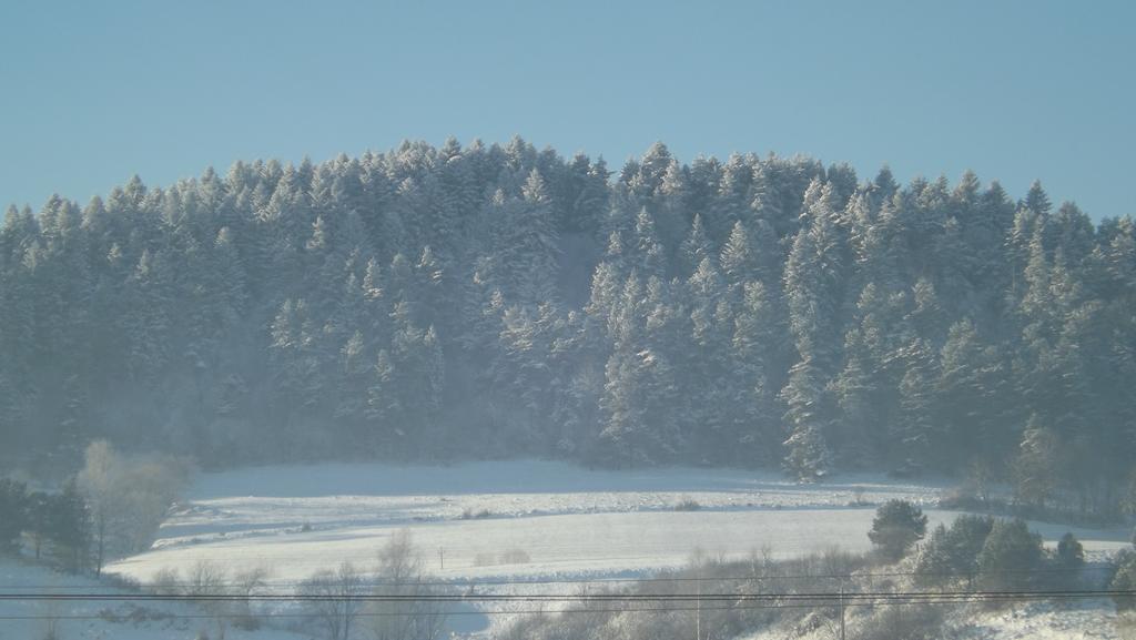 Zajazd Bieszczadzka Ostoja Ustrzyki Dolne Exterior foto